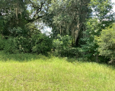 Highway 280 West Tract