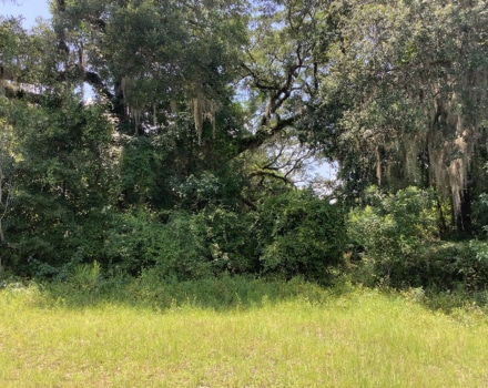Highway 280 West Tract