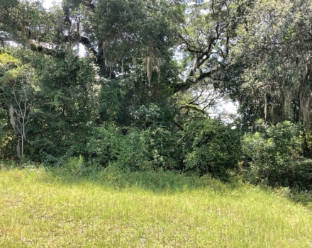 Highway 280 West Tract