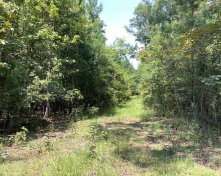 Highway 280 West Tract