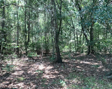 Highway 280 West Tract