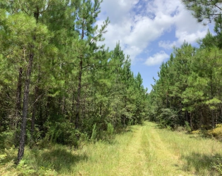 Highway 280 West Tract