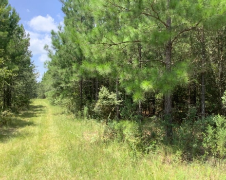 Highway 280 West Tract