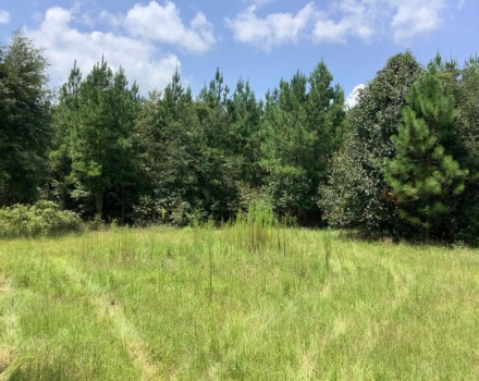 Highway 280 West Tract