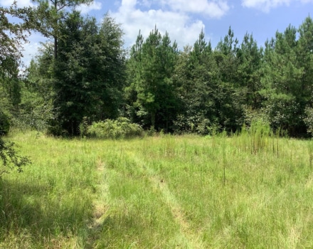 Highway 280 West Tract