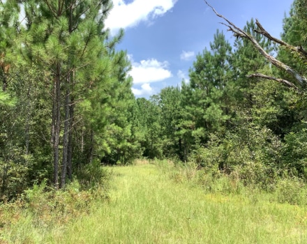 Highway 280 West Tract