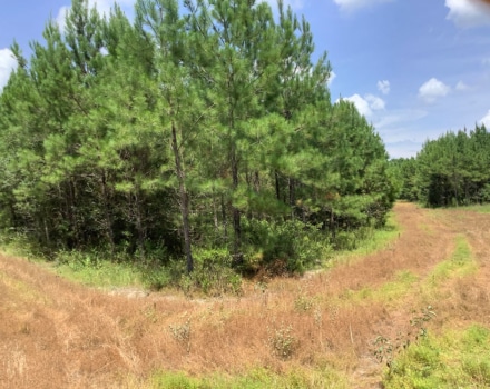 Highway 280 East Tract