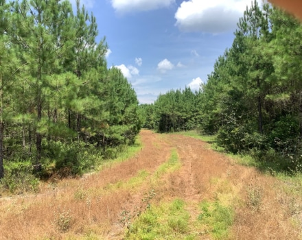 Highway 280 East Tract
