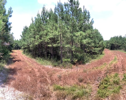 Highway 280 East Tract