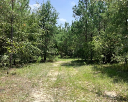 Highway 280 East Tract