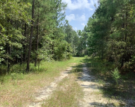 Highway 280 East Tract