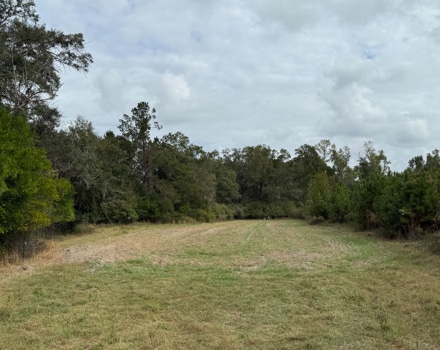 Damascus Tract