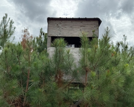 Damascus Tract