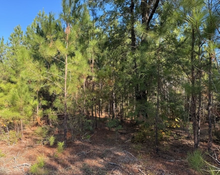 Harlin Day Tract