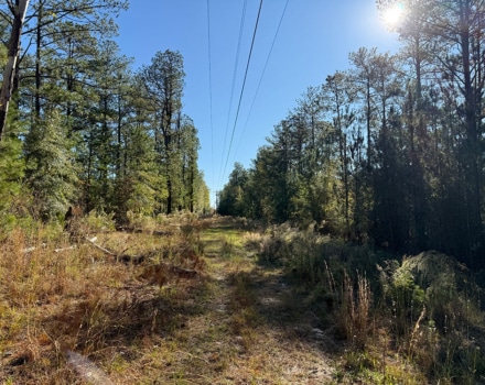 Harlin Day Tract