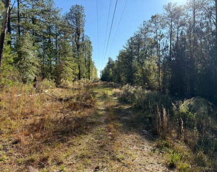 Harlin Day Tract