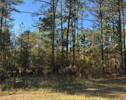 Harlin Day Tract