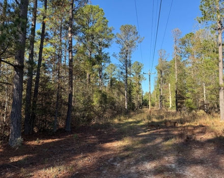 Harlin Day Tract