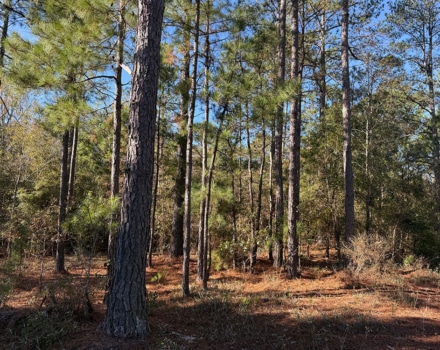 Harlin Day Tract
