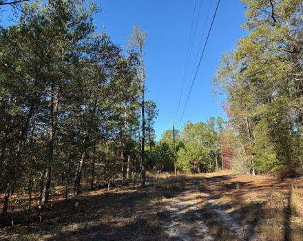 Harlin Day Tract