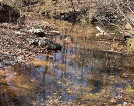 Red Oak Plantation Tract