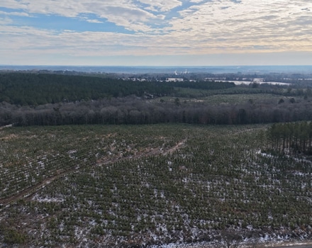 DJI_20250124093249_0085_D