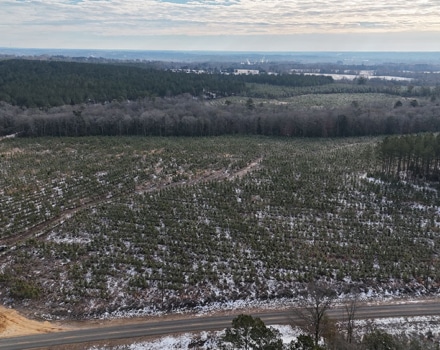 DJI_20250124093257_0086_D