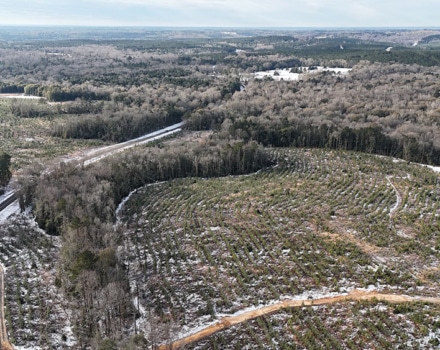 DJI_20250124093335_0087_D