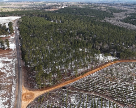 DJI_20250124093417_0088_D
