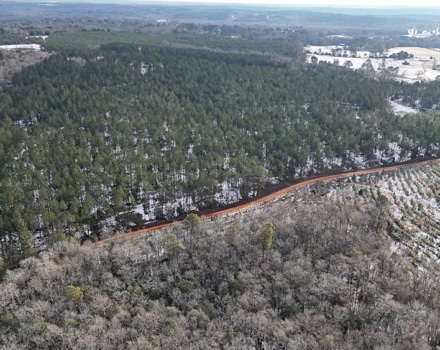 DJI_20250124093504_0090_D
