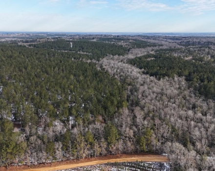 DJI_20250124093610_0093_D