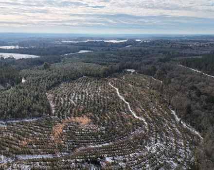 DJI_20250124093636_0094_D