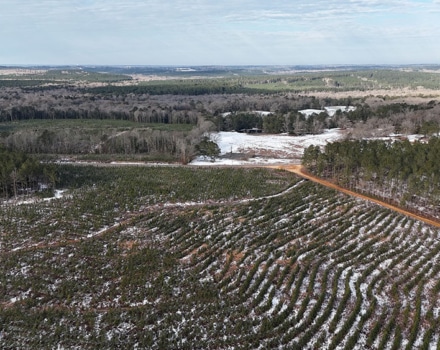 DJI_20250124093651_0095_D