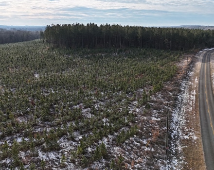 DJI_20250124093842_0097_D