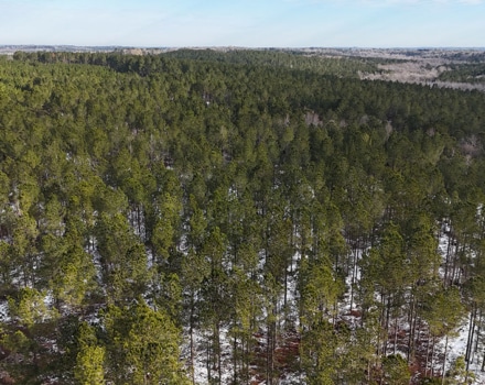 DJI_20250124093950_0098_D