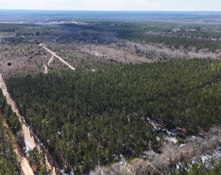 DJI_20250124132930_0102_D