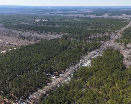 DJI_20250124133031_0104_D