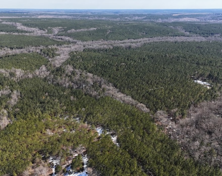 DJI_20250124133128_0106_D