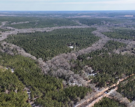 DJI_20250124133210_0107_D