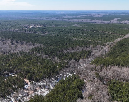 DJI_20250124133230_0109_D