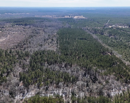 DJI_20250124133347_0110_D