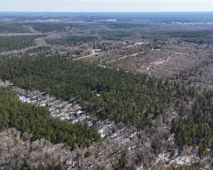 DJI_20250124133354_0111_D