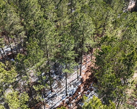 DJI_20250124133731_0116_D