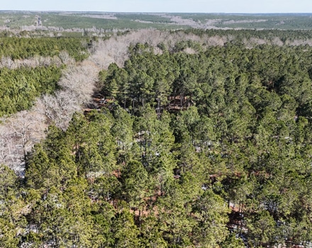 DJI_20250124133807_0119_D