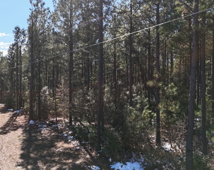 DJI_20250124134101_0121_D