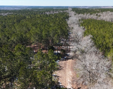 DJI_20250124134924_0122_D