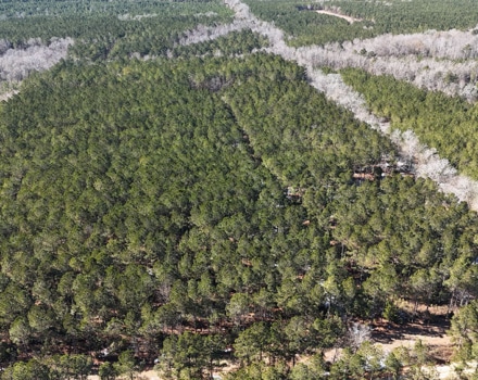 DJI_20250124135252_0126_D
