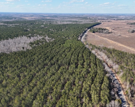 DJI_20250124145654_0128_D