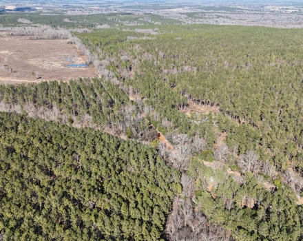 DJI_20250124145735_0129_D