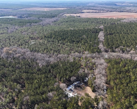DJI_20250124145827_0132_D